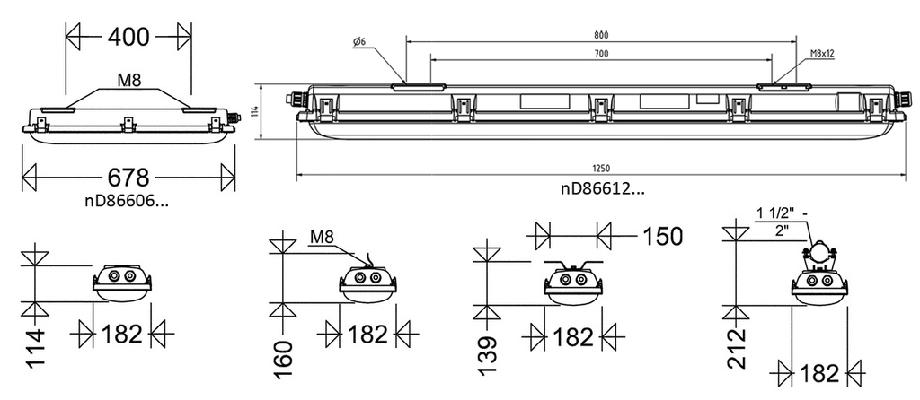 nD866F06L42