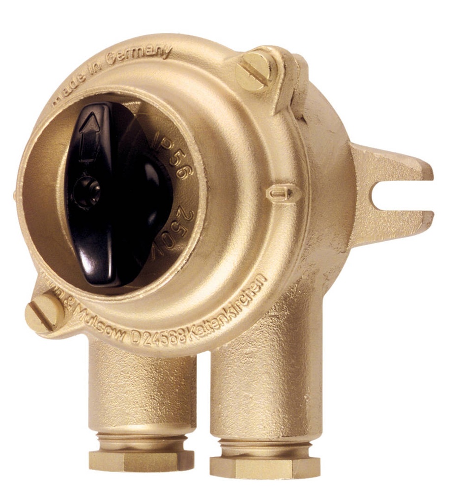 Switch 1133/2/P 0-1, 16A 2P 2 entries brass