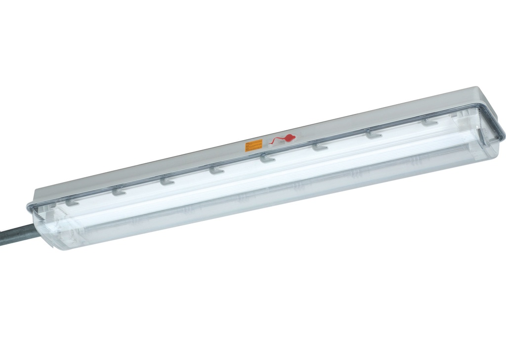 ATEX Pole mounting fixture, LED 54W, 8300lm, 220-240VAC/DC, 0/50-60Hz