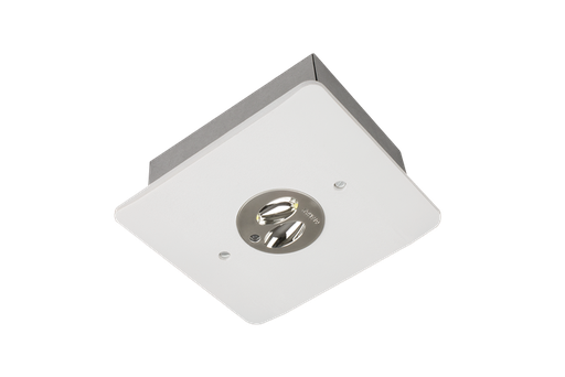 [E85203100] E85-R(M) C LED E3/S, escape lighting