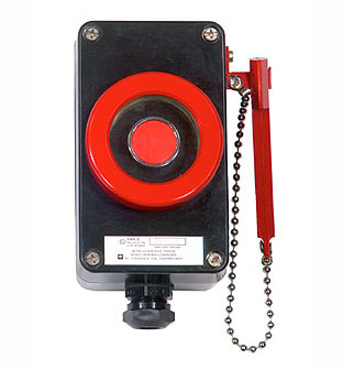 [XAW-S251] Brandmelder glas/hamer, 1NO/NC, 10A, M20, IP65